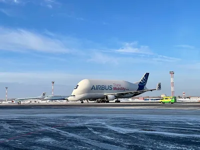 Одни из самых необычных самолетов Airbus Beluga заменят на более необычный  транспортник Beluga ХL | 56-я Параллель | Дзен