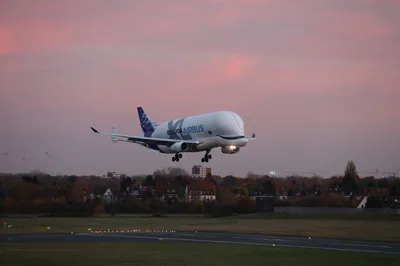 Airbus выкатил последний грузовой самолет сверхбольшой вместимости Beluga  XL | ОТ ВИНТА