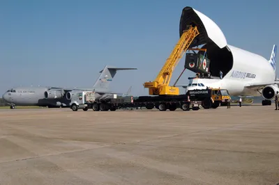 Cамолеты Airbus Beluga выходят на международный рынок авиаперевозок  негабаритных грузов - AEX.RU