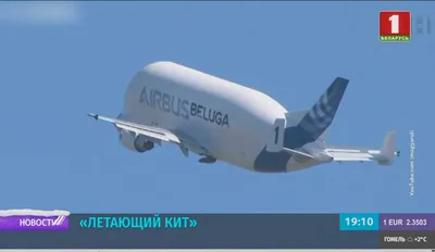 Грузовой самолёт Airbus Beluga сделал остановку в аэропорту Толмачево | РИА  Новости Медиабанк
