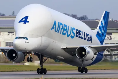 Прилёт Airbus Beluga в Россию | Пикабу