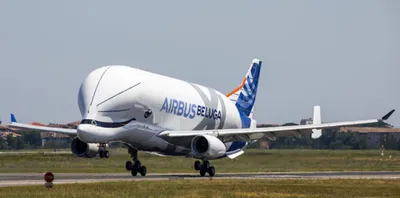 На спутниковом фото заметили гигантский самолет Airbus Beluga - Hi-Tech  Mail.ru