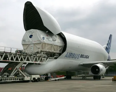 Forumavia.ru - Airbus Beluga в Толмачёво