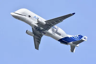 Самолет Airbus Beluga XL совершил первый полет: видео | Новости Украины |  LIGA.net