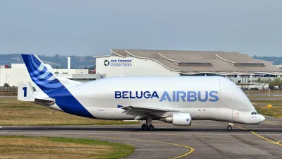 Airbus Beluga — вычурный самолет, который возит другие самолеты (вертолеты,  картины) - Tchk.lv