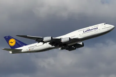 Почему «Россия» активнее всех в мире использует флот легендарных Boeing 747  - Ведомости