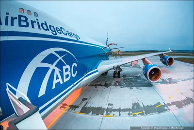 16 см KLM модель самолета Боинг 747 отлитый под давлением Металл масштаб  1/400 модель самолета голландские авиалинии подарок коллекция падение |  AliExpress