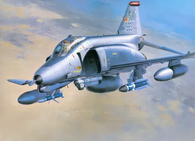 Aeroflap — последние остатки F-4 Phantom II.