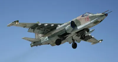 Очередной «грач»: боец Нацгвардии под Запорожьем «приземлил» вражеский  Су-25 (видео)