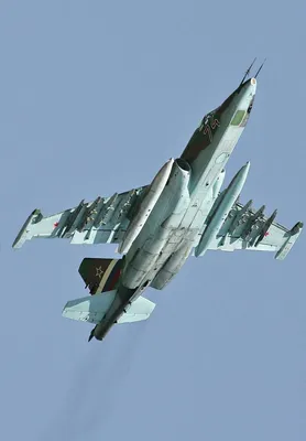Самолет Су-25 упал в Белгородской области – пилот погиб - 23.02.2023,  Sputnik Беларусь