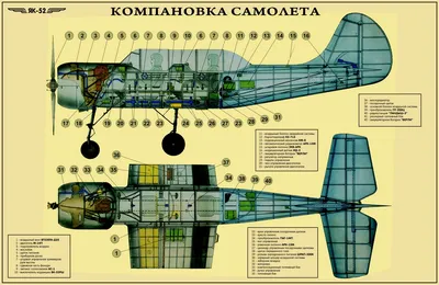 Полёт на спортивном самолёте Як-52 над Омском