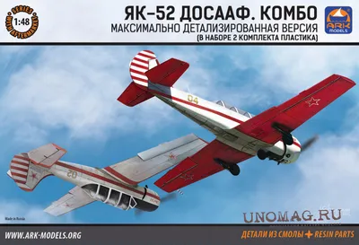 Полет с пилотажем на самолете Як-52 в Запорожье | KAVA