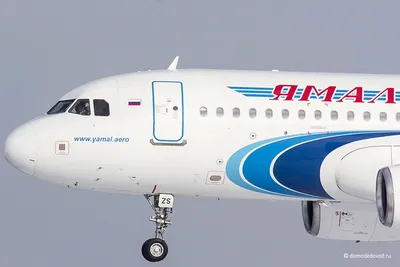 В авиакомпании «Ямал» объяснили причины ЧП с вылетевшим в Новый Уренгой  самолетом: ТРАНСПОРТ: ЯМАЛ 1