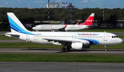 На Ямале бортпроводники авиакомпании обвинили весь самолет в краже  спасательного жилета - KP.RU