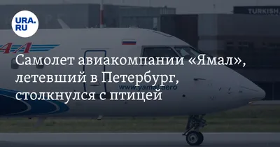 Авиакомпания «Ямал» зарегистрировала миллионного пассажира в этом году »  «Муравленко 24»