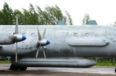 Под дружественным огнем: почему в Сирии был сбит российский Ил-20 — РБК