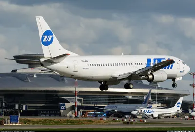 Utair будет летать из «Внуково» в Минск шесть раз в неделю – REFORM.by