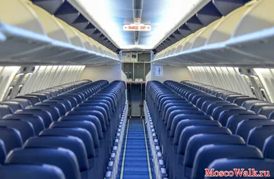 Как выглядят изнутри пассажирские самолеты, на которых стали возить грузы.  И что будет с креслами после этого | Бортпроводник | Дзен