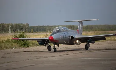 Чешские УТС Aero L-29 «Дельфин» в России