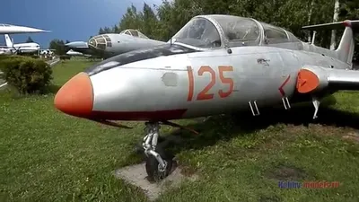 Полеты на самолетах Л-29 и Л-39 в Подмосковье