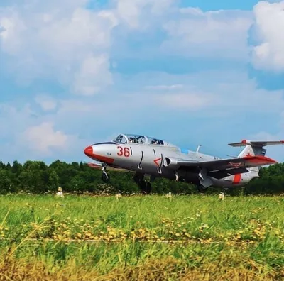 Самолет Л-29 Дельфин, продажа, цена 1 500 000₽ ⋆ Техклуб