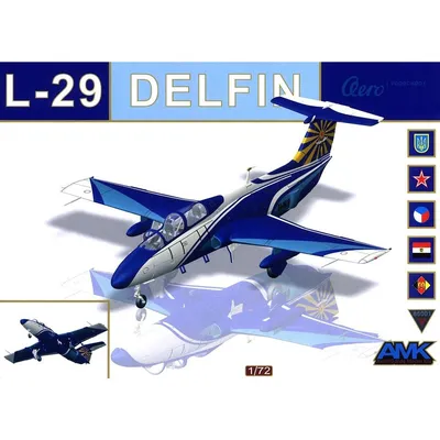 Подарочный сертификат — Полет на реактивном самолете L-29 «Дельфин»