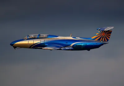 Модель самолета Л-29 «Дельфин» 1/48 – заказать на Ярмарке Мастеров –  N7EKKRU | Модели, Краснодар