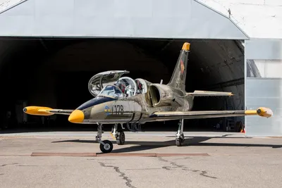 Купить модель самолета военной авиации Aero L-39 Albatros \"ВВС\" арт.  RA0398139, масштаб: 1:48 от МКБ «АРСЕНАЛ» за 11500 руб. в интернет-магазине  Arsenal-takeoff.com
