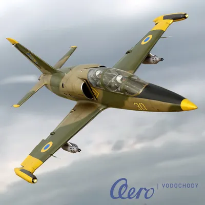 ПОЛЕТ НА ИСТРЕБИТЕЛЕ Л-39 | Czech-Jet