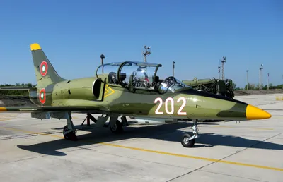 Aero L-39 Albatros - последние новости сегодня - РИА Новости