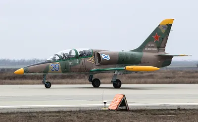 В Краснодарском крае разбился военный самолет Л-39 — РБК