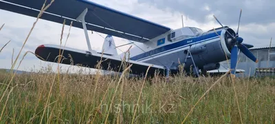 Самолет Птенец-2: технические характеристики и история создания – полет на  Птенец-2 в авиаклубе Взлетим