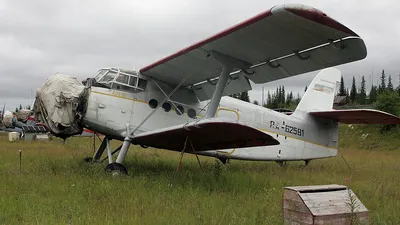Звезда, Сборная модель \"Советский самолёт Ли-2\" - купить с доставкой по  выгодным ценам в интернет-магазине OZON (1029944476)