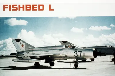 Что делает МиГ-21 самым культовым истребителем времен Холодной войны |  MILITAN | Дзен