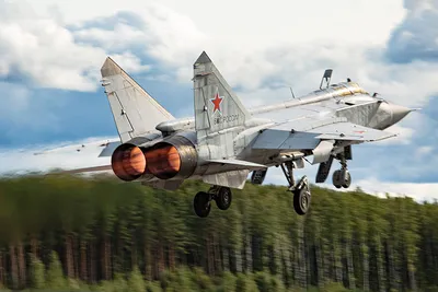 Самолет МИГ-31 (Металл) [Готовая модель] (1:72) - Военные самолеты -  космический магазин AstroZona.ru