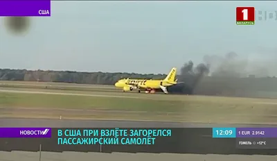 Самолет авиакомпании S7 Airlines столкнулся со стаей птиц при взлете в  аэропорту Иркутска - AEX.RU