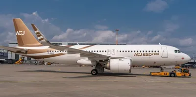 В Киргизии прокомментировали информацию о прибытии в страну самолетов семьи  Назарбаева - Газета.Ru | Новости