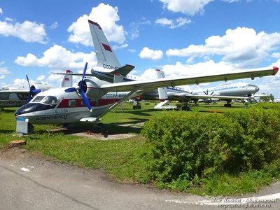 Легкий многоцелевой транспортный самолет Ан-14 \"Пчелка\". - Российская  авиация
