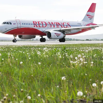 Red Wings | Купить авиабилеты на официальном сайте