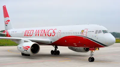 Авиакомпания Red Wings: последние новости на сегодня, самые свежие сведения  | e1.ru - новости Екатеринбурга