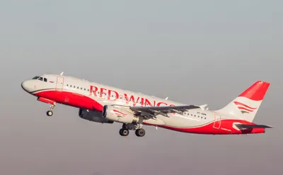 Авиакомпания Red Wings запускает прямые рейсы Минск - Самара с 18 ноября -  KP.RU