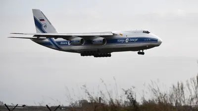 Комплексное техобслуживание самолетов Ан-124 \"Руслан\" могут запустить в  России - AEX.RU