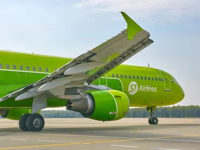 Авиакомпания S7 увеличила число разрешенных к перевозке в салоне самолета  животных | Sobaka.ru