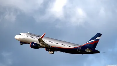 В S7 Airlines рассказали об объемах перевозок за июнь 2020 года | Журнал  «Линия Полета» | Дзен