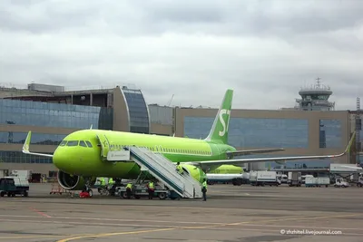 S7 Airlines - S7 Airlines ने अपनी कवर फ़ोटो अपडेट की.