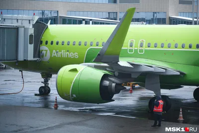 S7 Airlines: последние новости на сегодня, самые свежие сведения | 74.ru -  новости Челябинска