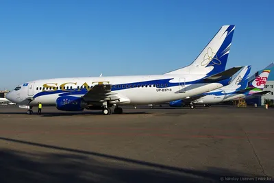 Первый рейс авиакомпании SCAT в аэропорту Внуково - MoscoWalk.ru - Прогулки  по Москве | Аэропорты