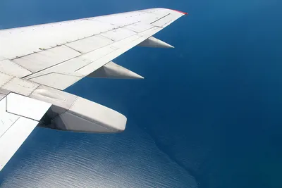 Самолет со 115-ю пассажирами столкнулся со стаей птиц в Атырау (видео)