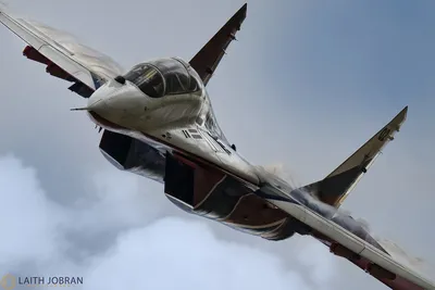 Самолет МИГ-29УБ (Стрижи) [Готовая модель] (1:72) - Военные самолеты -  космический магазин AstroZona.ru
