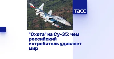 Су-35 за один рейд уничтожил самолет ВСУ и радиолокатор системы С-300 -  Российская газета